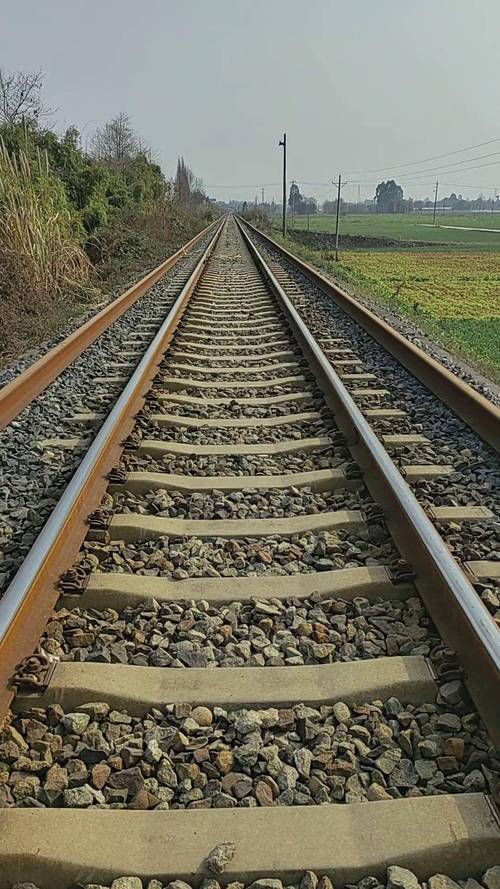 钢轨与钢轮的滚动摩擦系数是多少