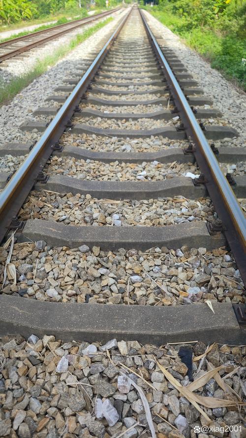 物理学渣求解 单摆模型的 一个圆形轨道